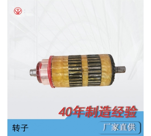 浙江ZQ-7（新3噸機(jī)車(chē)）直流牽引電機(jī)電樞
