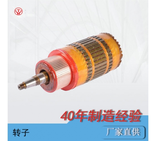 浙江ZQ-1.9輔助直流牽引電機(jī)電樞（250V，550V）